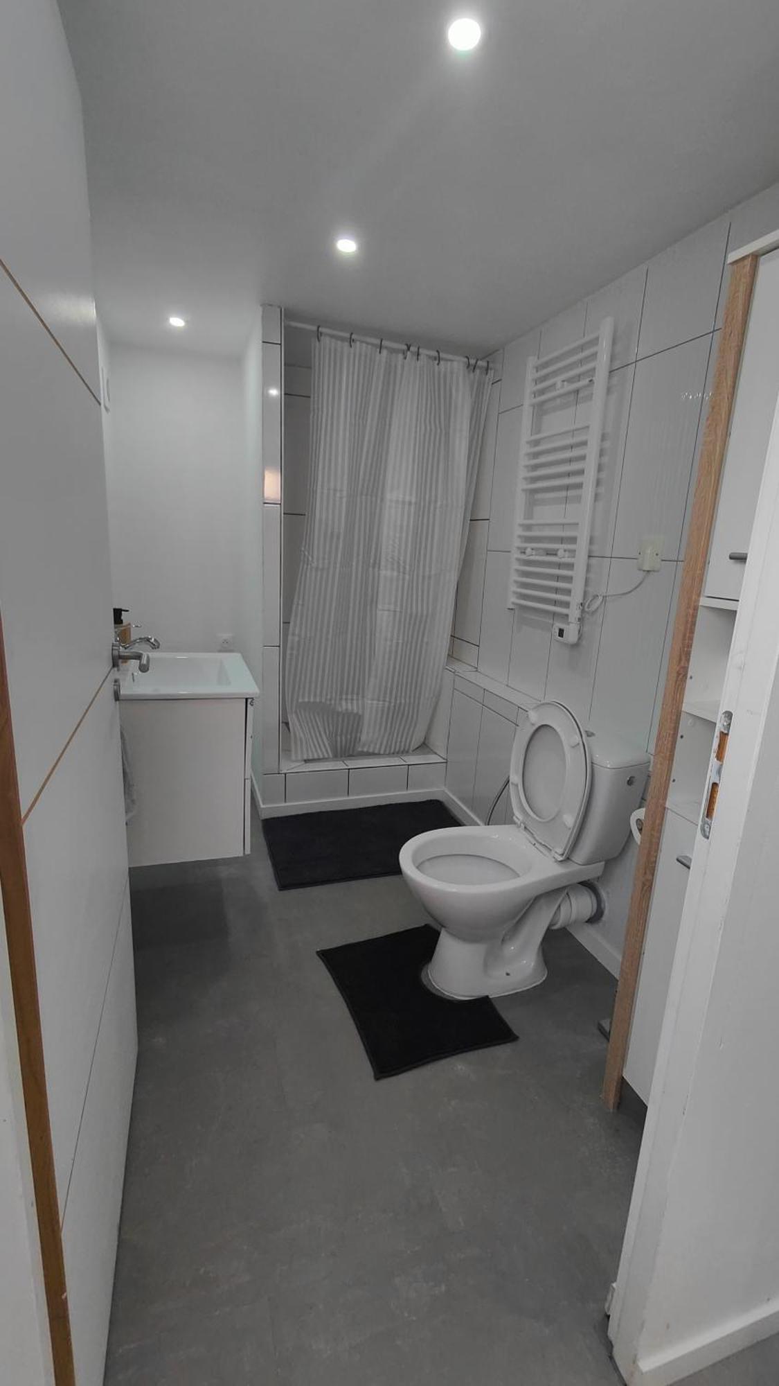 Bel Appartement F2 Entierement Renove Селеста Екстер'єр фото