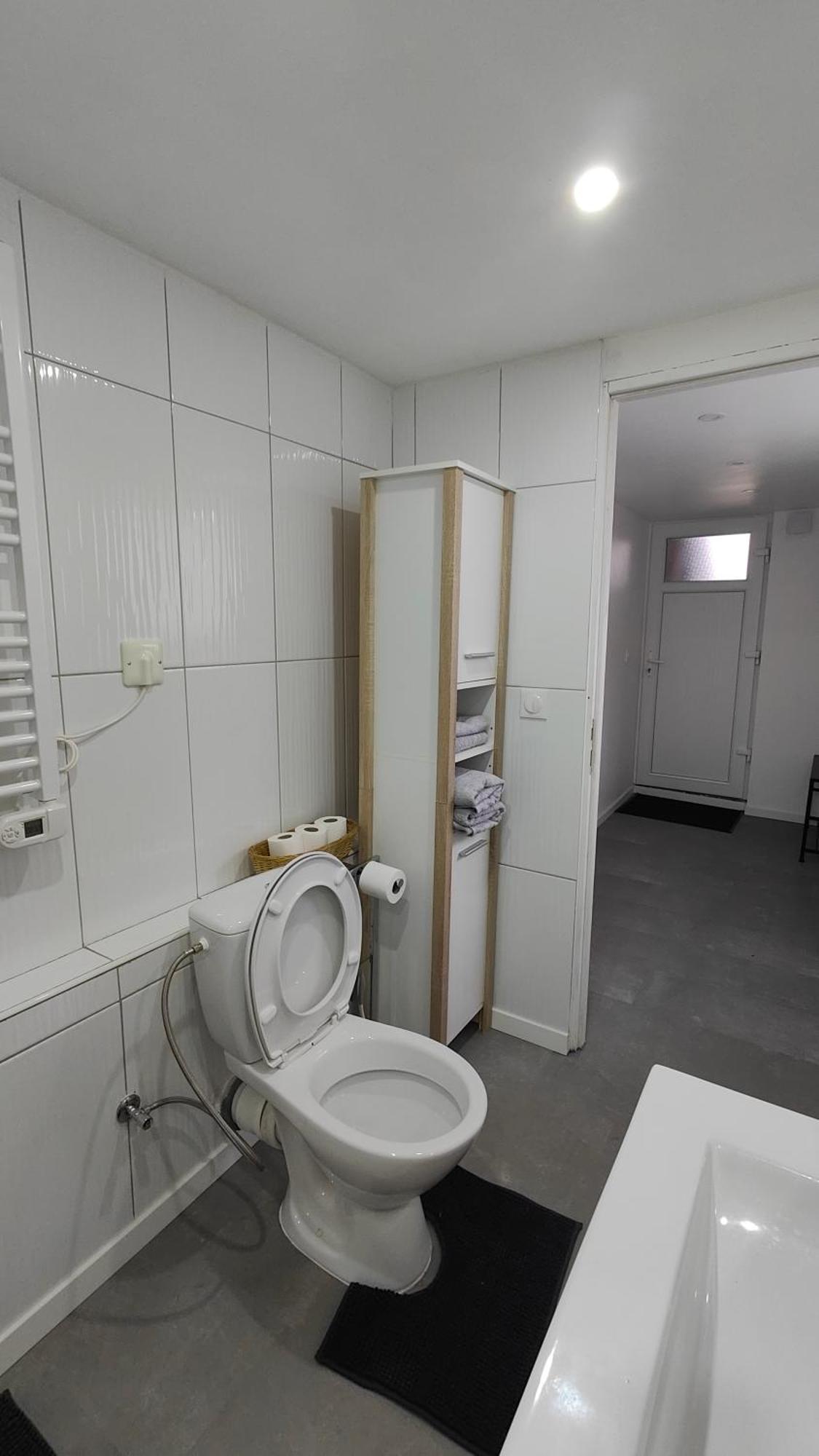 Bel Appartement F2 Entierement Renove Селеста Екстер'єр фото